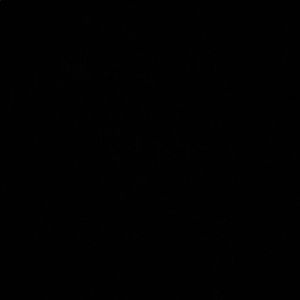 Meet your Posher, Zipporah